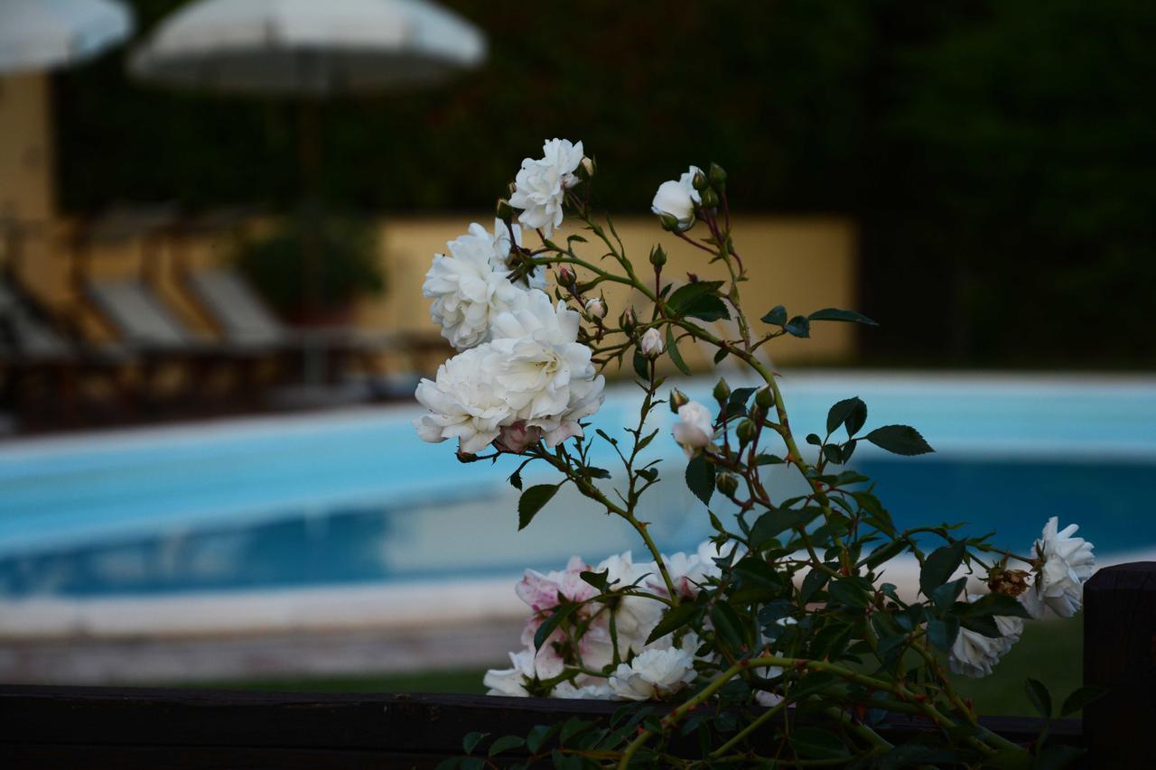 Il Poggiolo Di Parrano Guest House Exterior foto